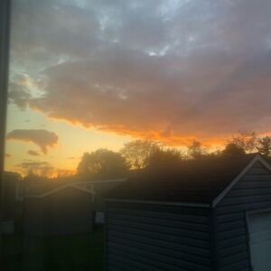 Meet your Posher, Ellie